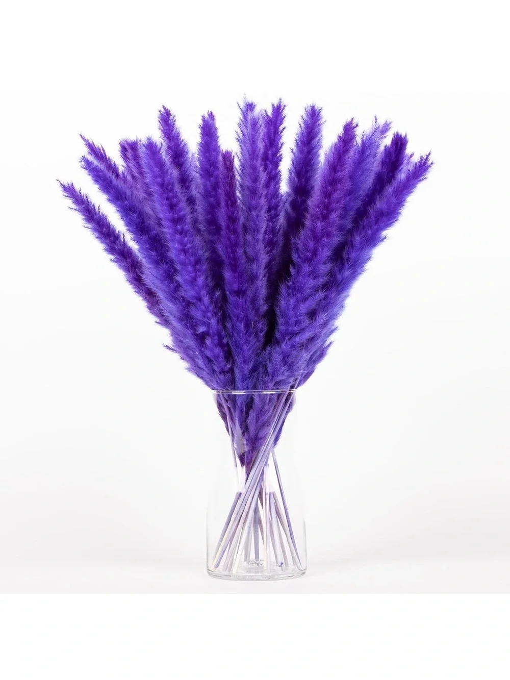 Colorful Dried Pampas Grass Stems – Multicolor Home Accent